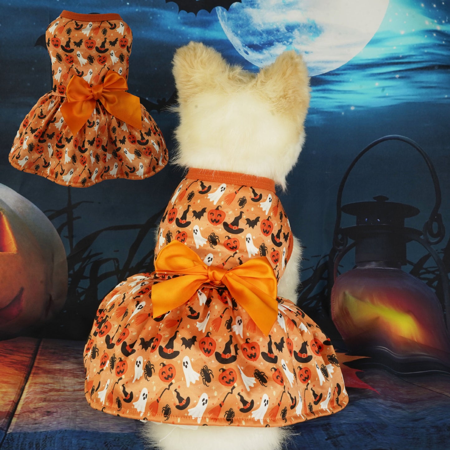 Haustier Kleidung Halloween Party Kleid