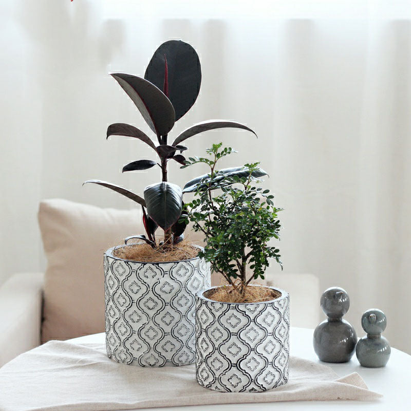 Light luxury flower pot