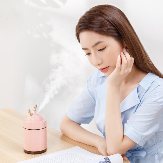 Sprayer Moisturizing Purifier Humidifier