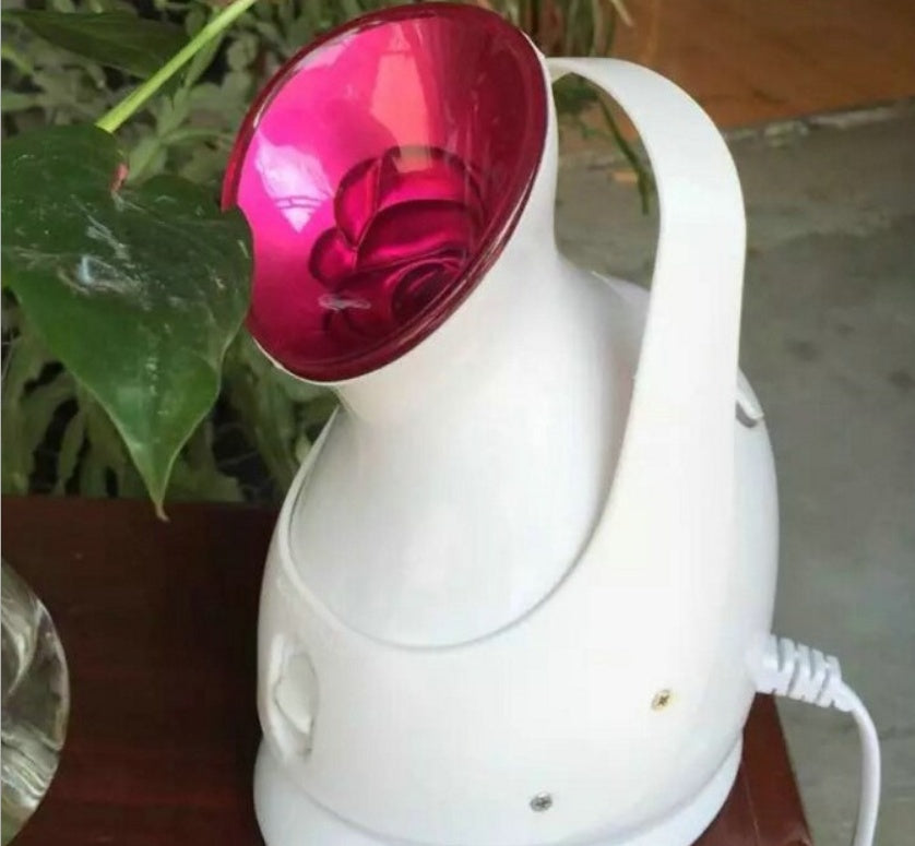 Humidifying steaming machine