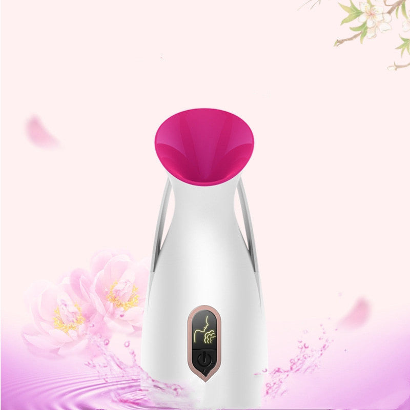 Household Nano Spray Face Steamer