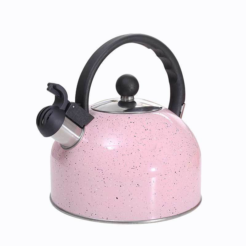 2.5L Spray Color Sprinkling Sound Pot Cross-Border Kitchen Supplies Stainless Steel Whistle Pot Gas Universal Boiling Kettle