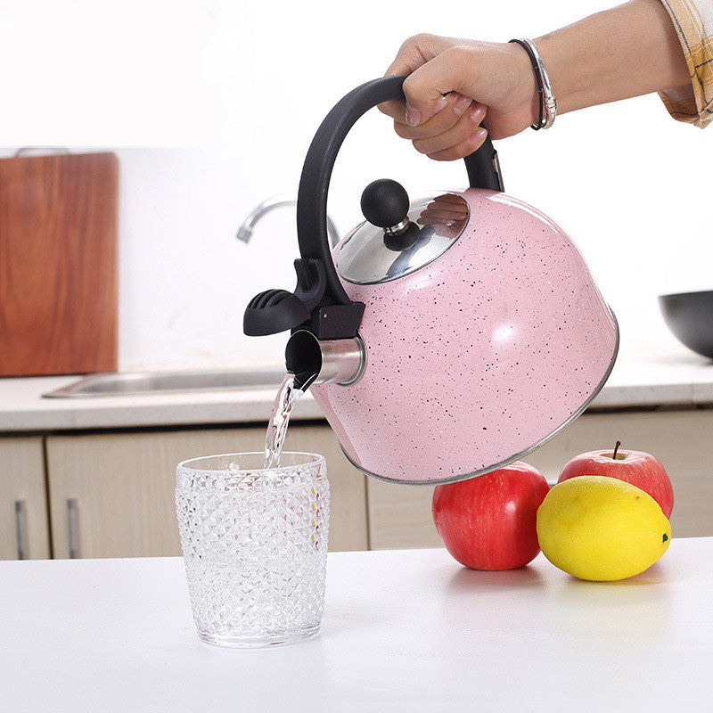 2.5L Spray Color Sprinkling Sound Pot Cross-Border Kitchen Supplies Stainless Steel Whistle Pot Gas Universal Boiling Kettle