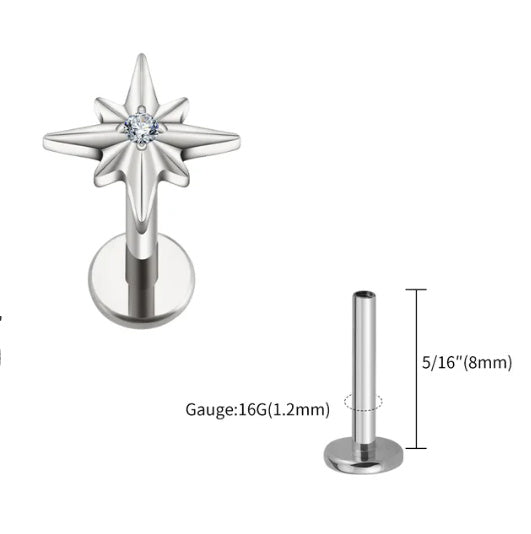 F136 Titan Ohrstecker Seeigelförmiges sechszackiges Stern Labret