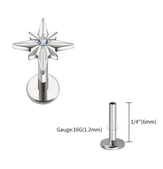 F136 Titan Ohrstecker Seeigelförmiges sechszackiges Stern Labret