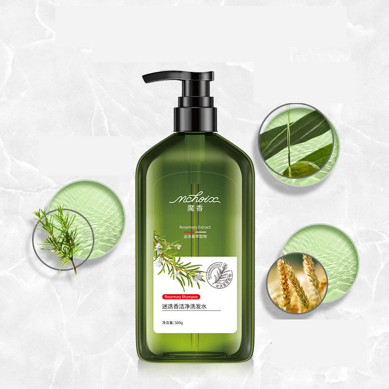 Rosemary Shampoo Body Wash For Hair Care, Refreshing And Oil Control