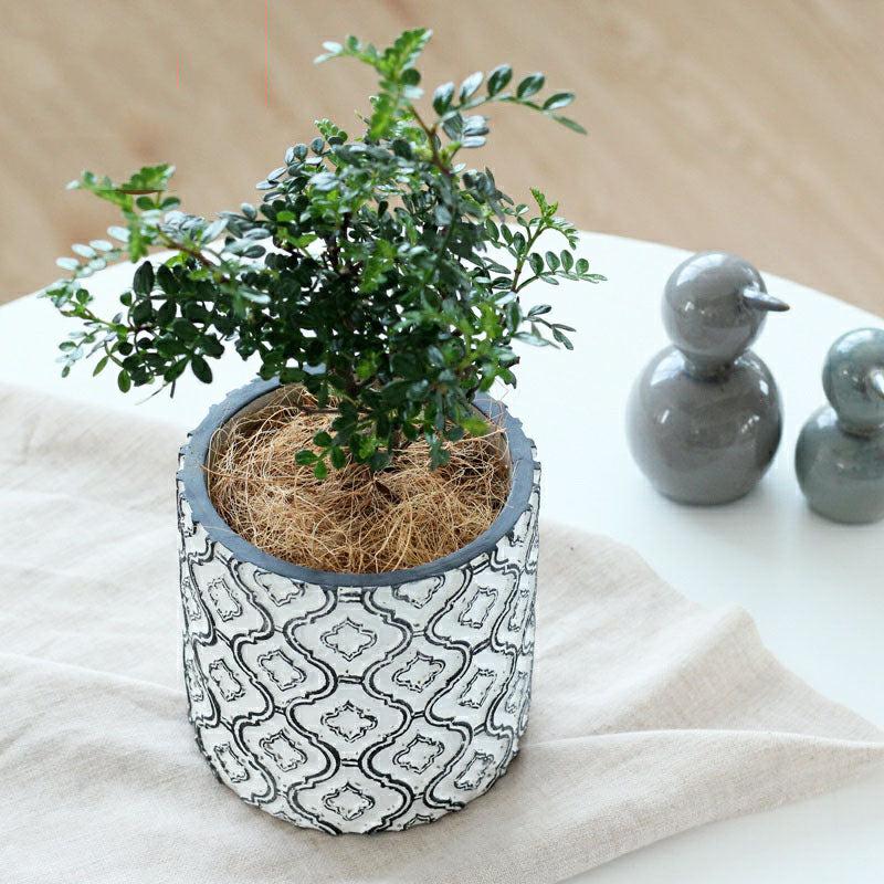 Light luxury flower pot