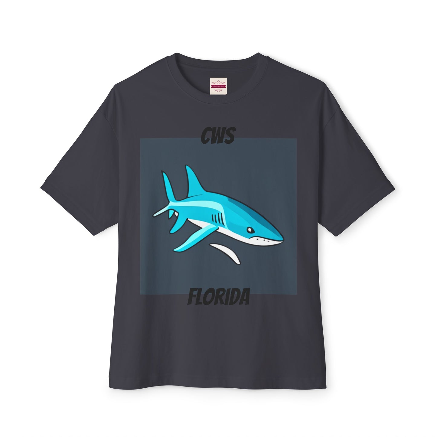 CWS Florida Unisex Oversized Boxy Tee By Cozy Winter Store (ships within USA only)