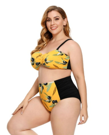 Plus Size Ruched Bikini Floral Printed Swimsuit Europe And America