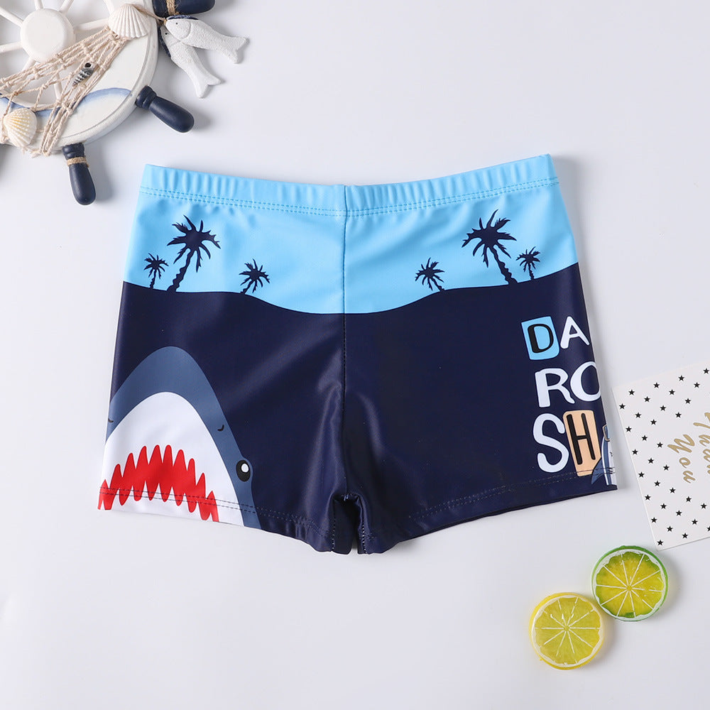 Cartoon boy swimsuit