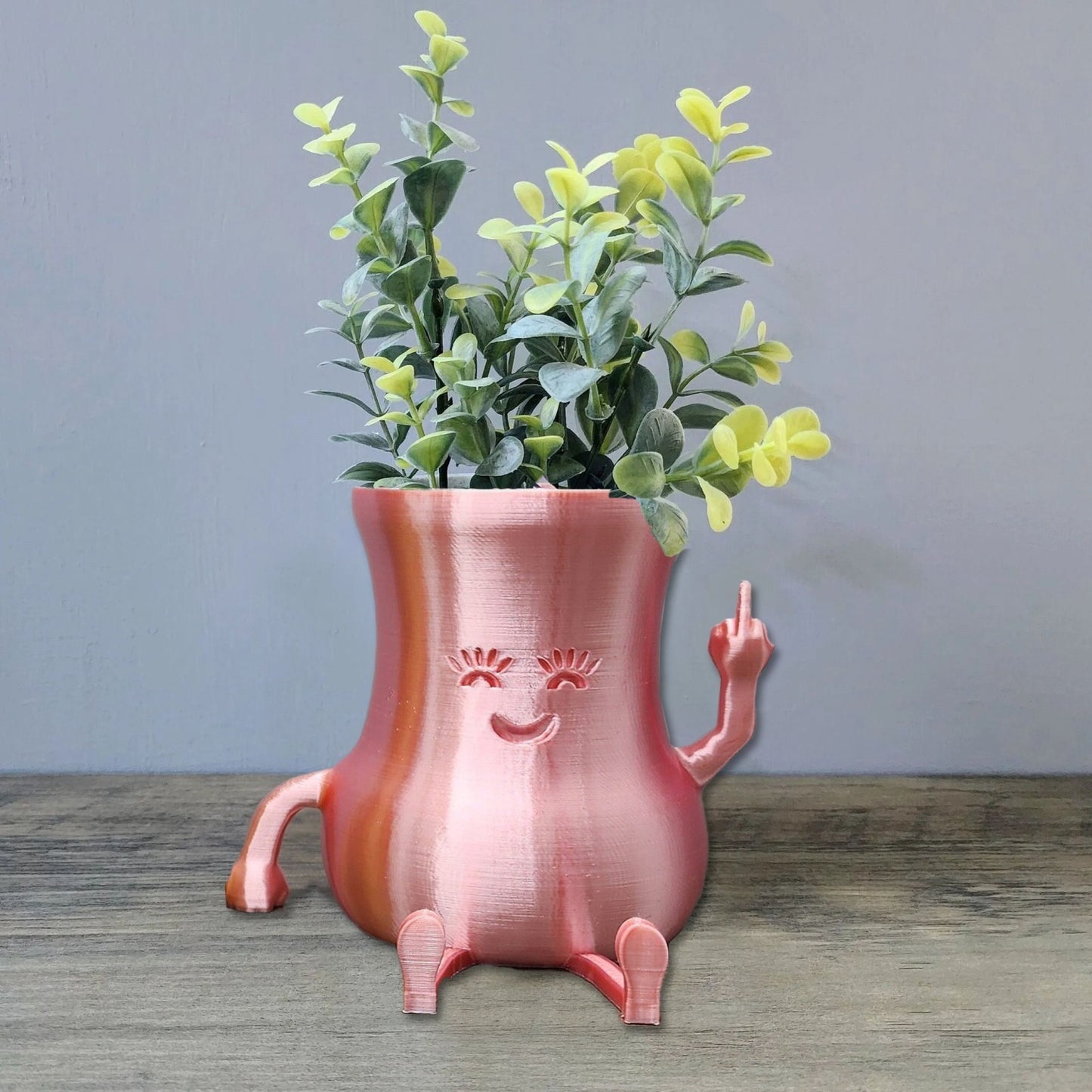 Cheeky Middle Finger Succulent Planter