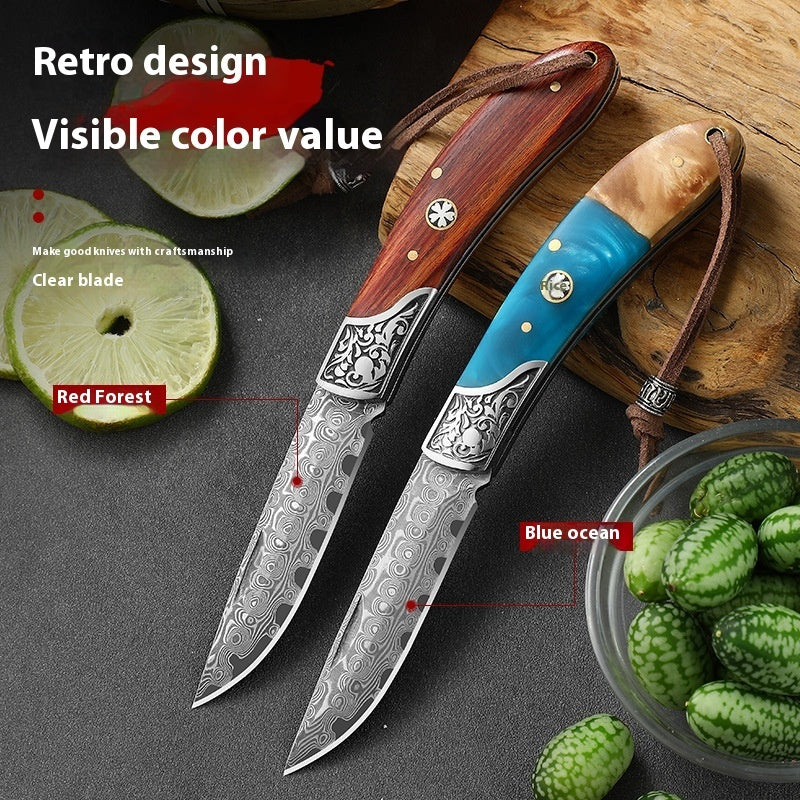 VG10 Folding Portable Mini Outdoor Knife