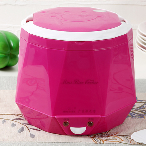 Mini rice cooker