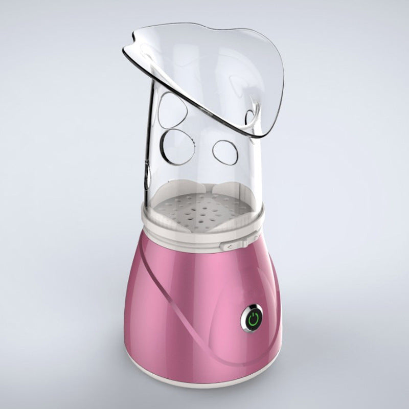 Anion facial steamer