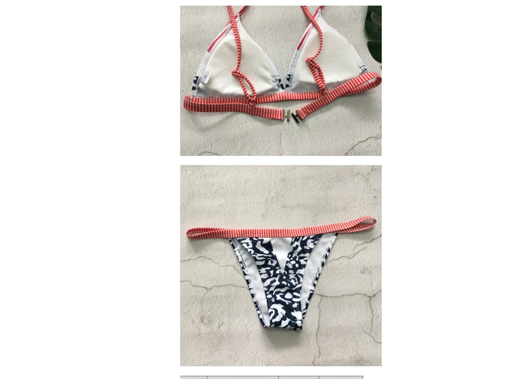 Explosion models bikini Europe and the United States foreign trade split print swimsuit striped bikini