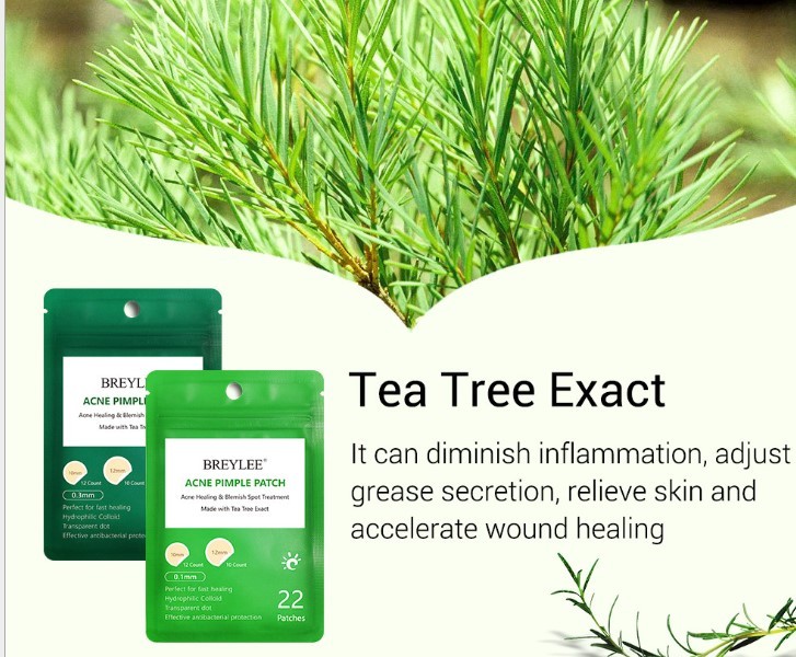 Tea Tree Akne Patch verblasst Akne-Flecken und ultra-dünn