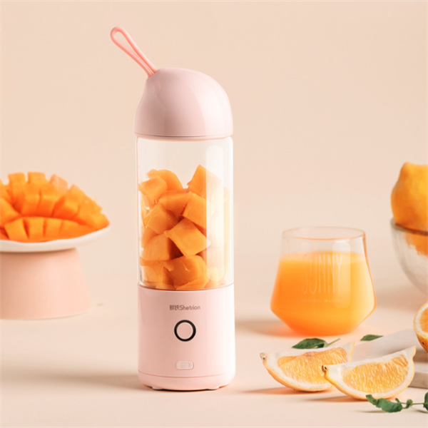 Juicer Rechargeable Mini Fryer