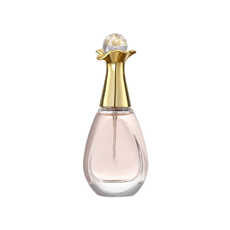 Essence Elysium: Fresh, Long-lasting Light Perfume Fragrance.