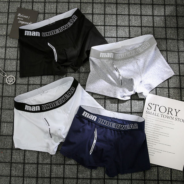 4pcs Boxer Mens Cotton Underpants