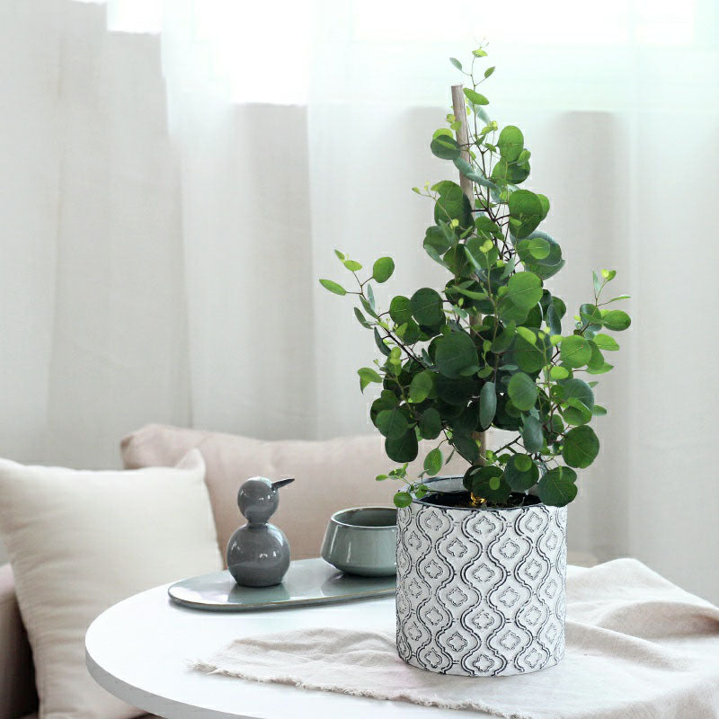 Light luxury flower pot