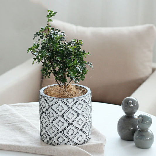 Light luxury flower pot