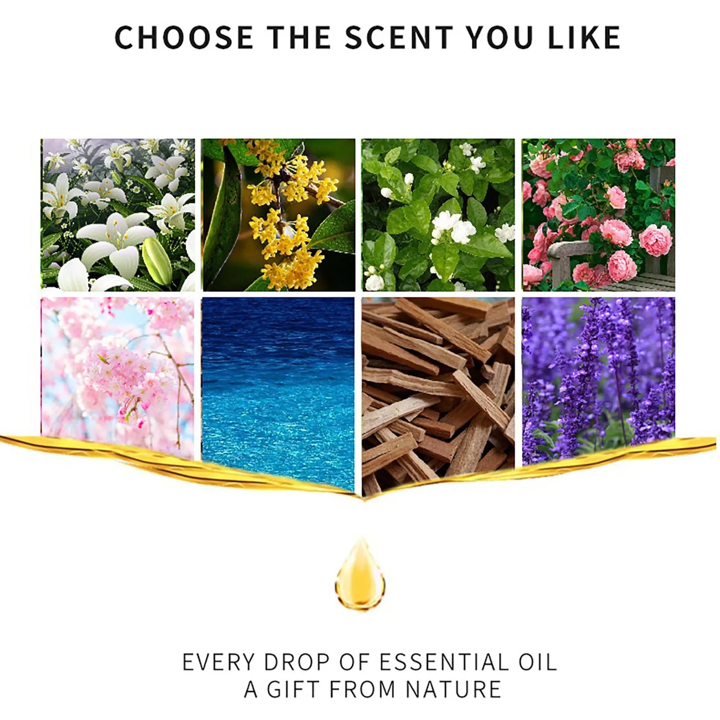 10ml Water-Soluble Aromatherapy Oil, 19 Kinds of Scents, Cozy Home Atmosphere, Suitable for Humidifiers & Flameless Diffusers