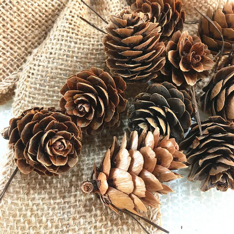 10PCS/lot Christmas Small Pine Cones Xmas Tree Decoration Pendant Ornaments Kindergarten DIY Materials