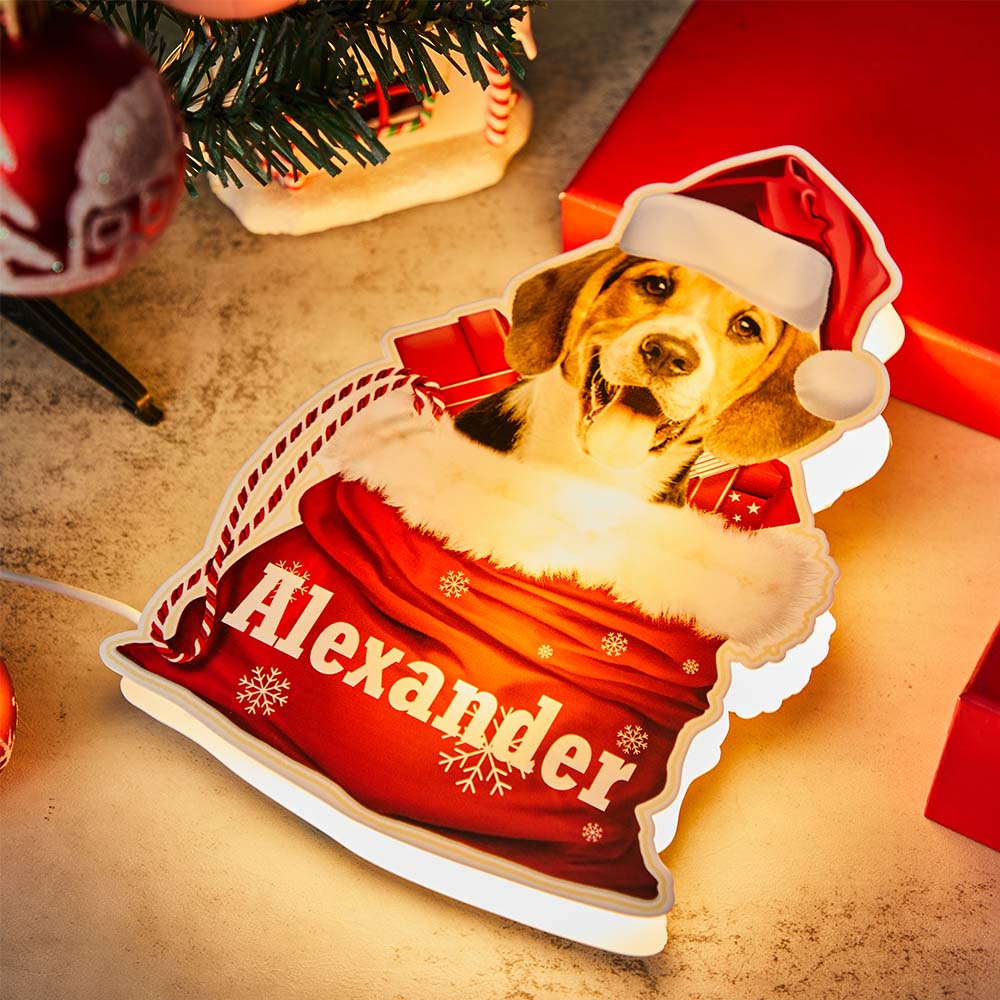 Personalized Pet Night Light Custom Photo Christmas Gift Basket Lamp