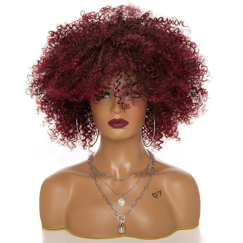 Afro Kinky Curly Hair Wigs Afro Kinky Curly Hair Wigs