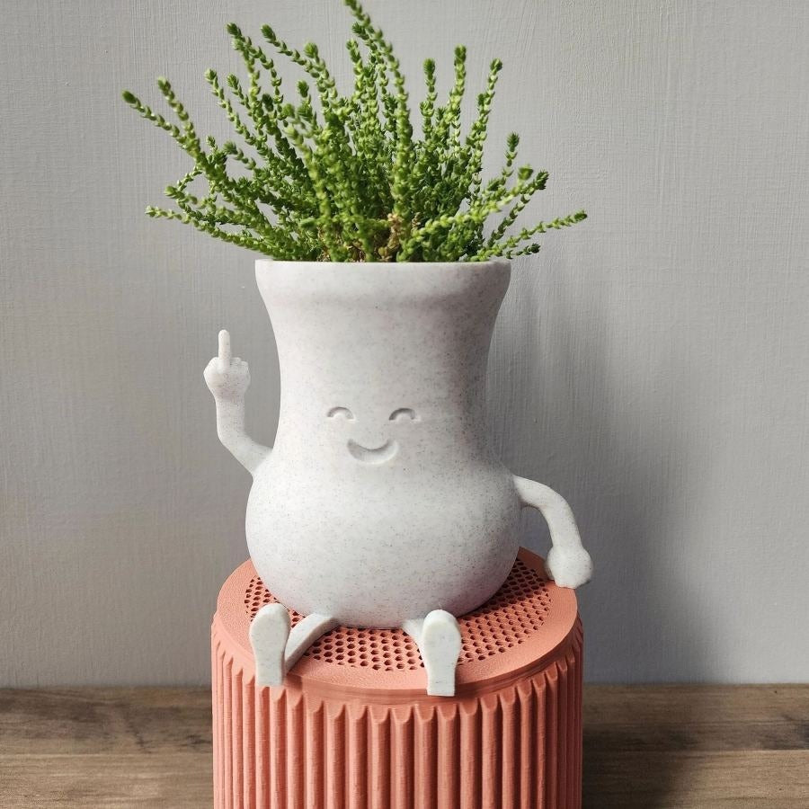 Cheeky Middle Finger Succulent Planter